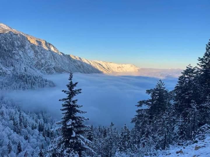 Apartman A&J Žabljak Esterno foto