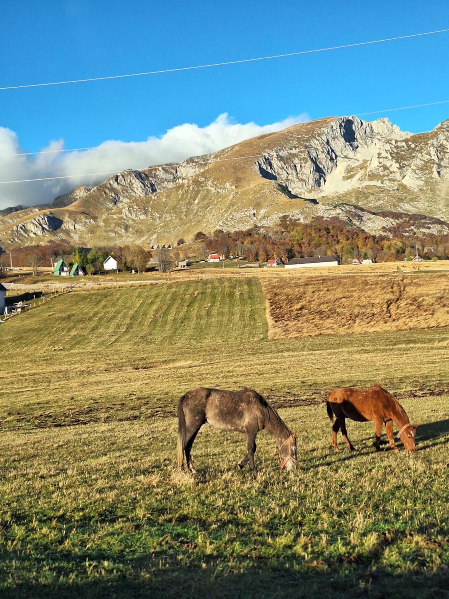 Apartman A&J Žabljak Esterno foto